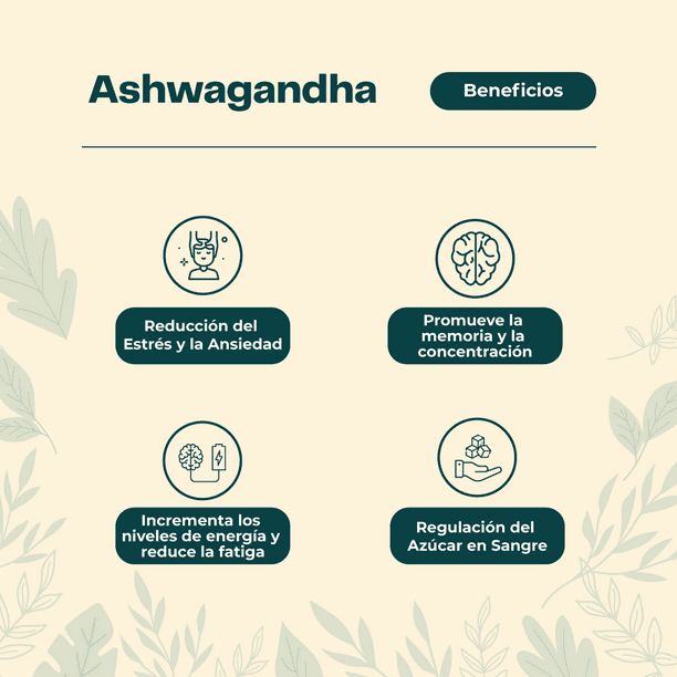 Ashwagandha Natural en Cápsulas – Bienestar y Control del Estrés