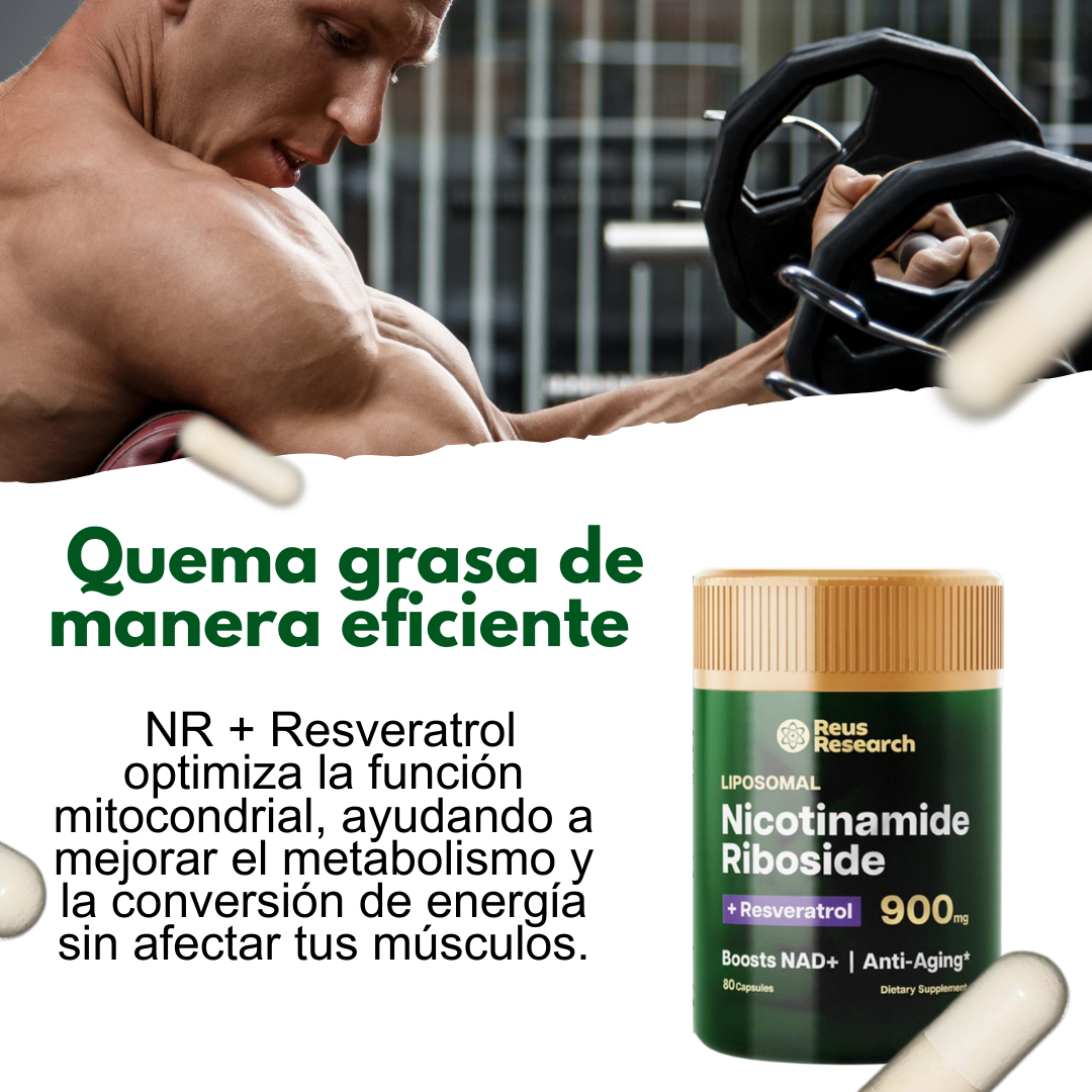 NAD+ con Resveratrol – Energía y vitalidad en cápsulas