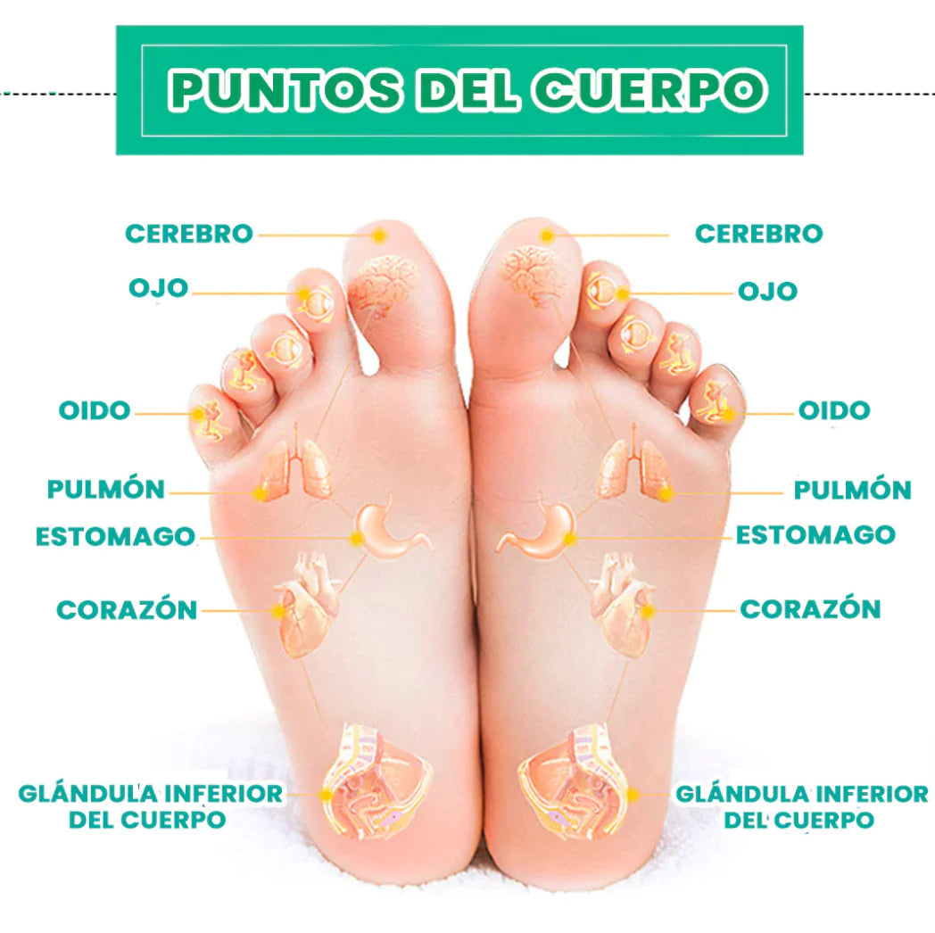 Parches Detox Kinoki para Pies – Limpieza Natural y Desintoxicación